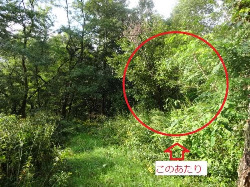 土地　神居町台場２６９